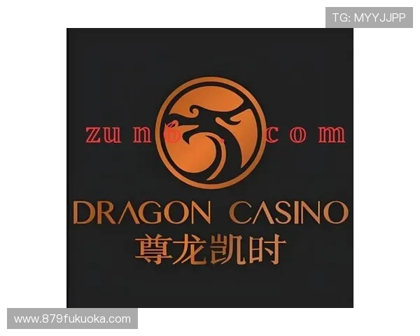 尊龙凯时ag旗舰厅登录平台全面解析，助力玩家实现高效盈利与娱乐享受